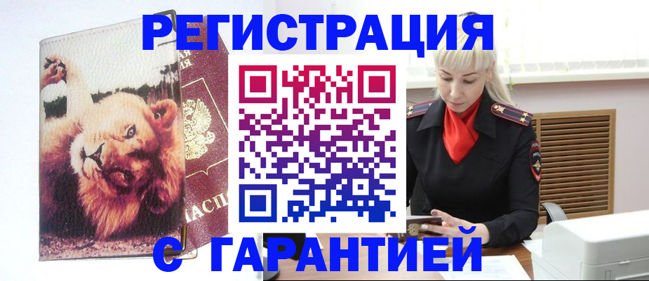 прописка от собственника в Михайловске